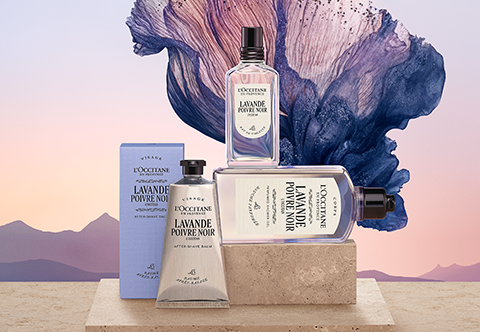 Lavande Blanche Fragrance Collection | L'Occitane en Provence